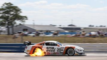 GYM WEED Partners with SpeedTour